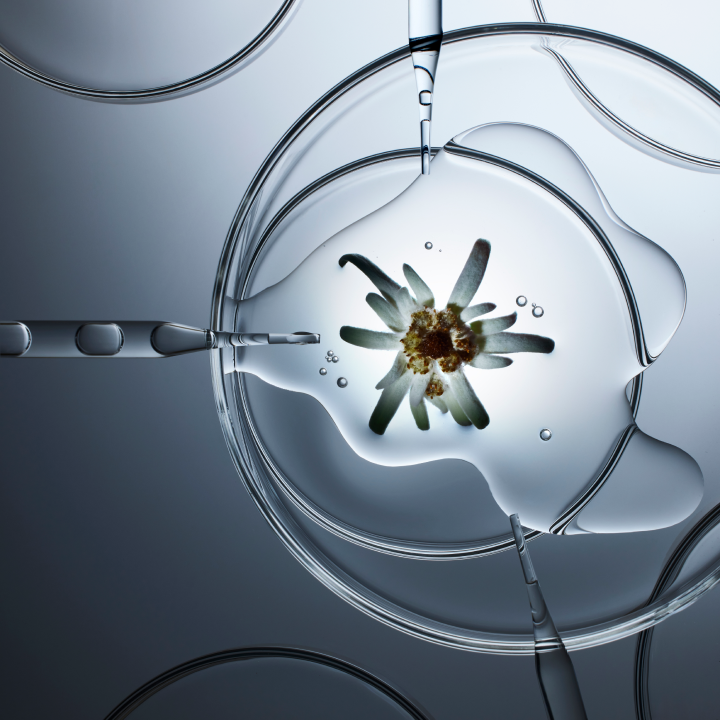 Advanced Activating Solution ONLY | Exo-HL | 5mL sterile vials