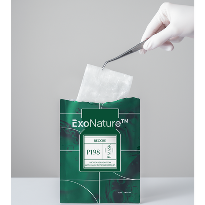 Black Friday Collection